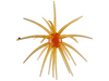 Queen Tackle Porcupine Ball 25mm TPE