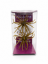 Queen Tackle Porcupine Ball 20mm