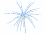 Super Urchin 19mm (3 Pack)