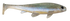 Weedless Executioner