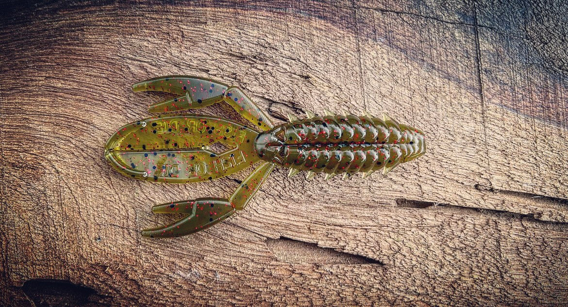 The Sherman - Fish Or Die