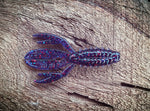 The Sherman - Fish Or Die