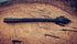 Musket - Fish Or Die