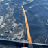 Orange Dragon Fire Casting Glow Rod