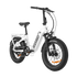Ranger Folding E-Bike