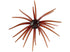 Hags Prickly Pear 19mm (TPE Material)