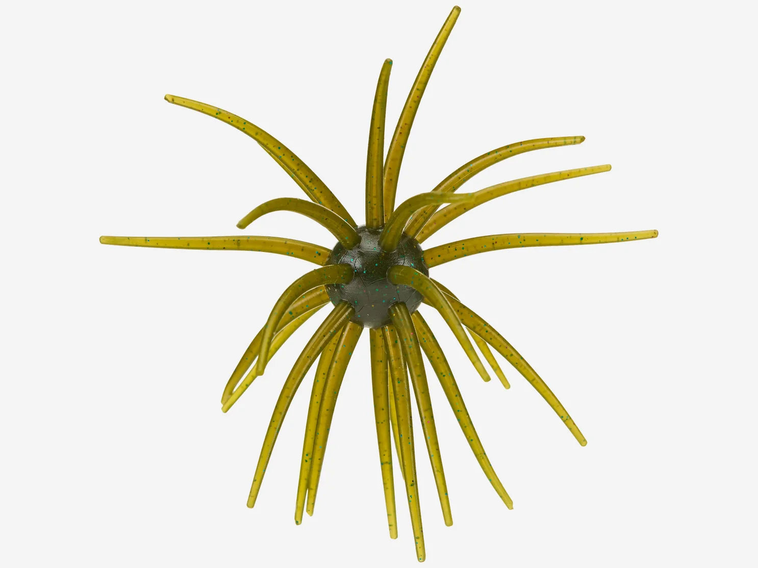 Hags Prickly Pear Big Tex 25mm - Available Now!