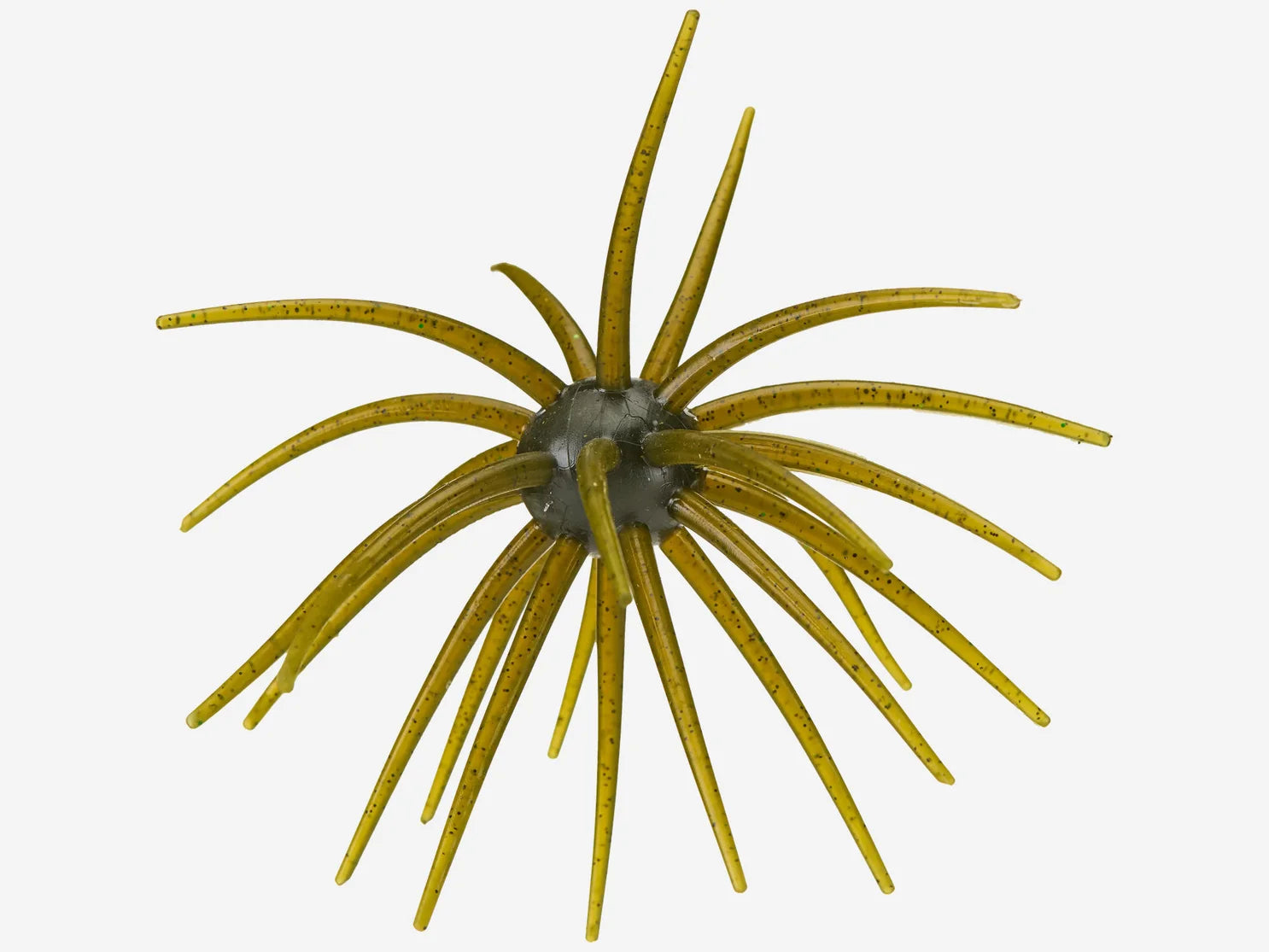 Hags Prickly Pear Big Tex 25mm - Available Now!