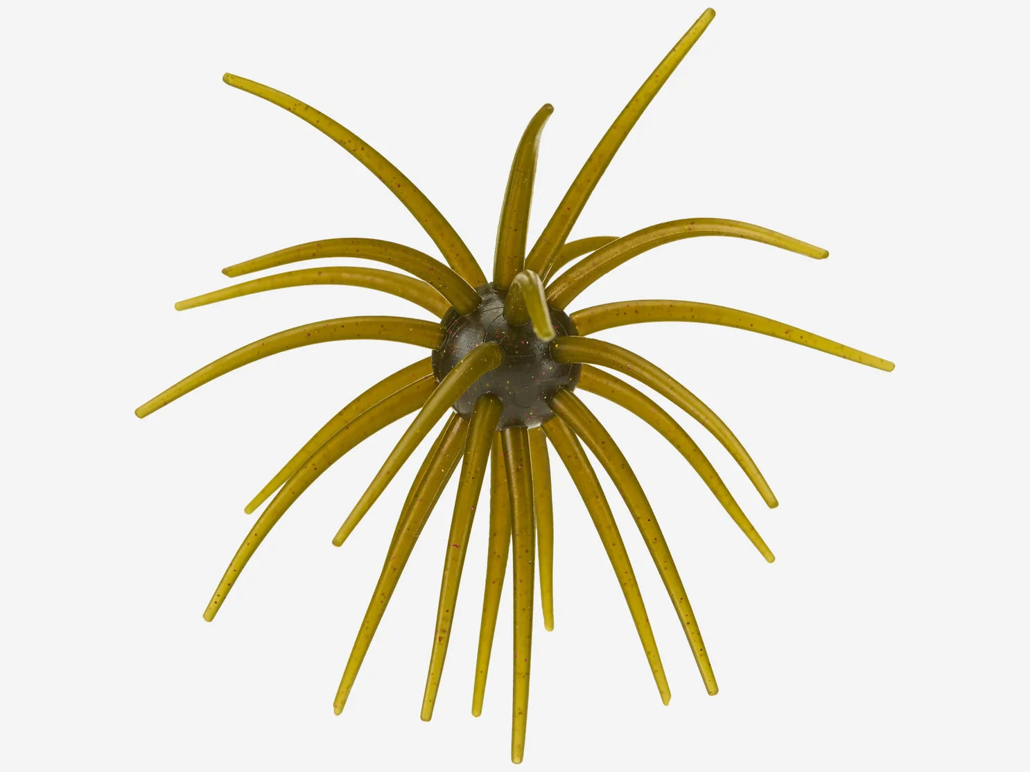 Hags Prickly Pear Big Tex 25mm - Available Now!