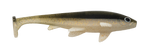 Weedless Executioner
