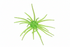 Micro Urchin 6.35mm (6-Pack)