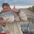 Tournament Series Casting Rod