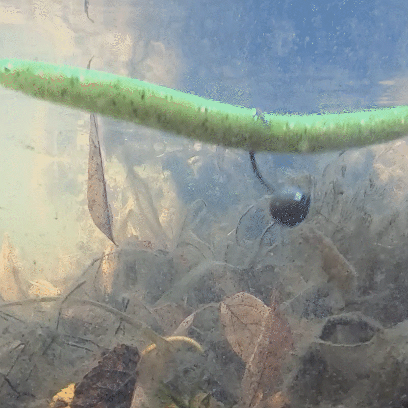 Reaction Tackle Lead Wacky Jigs- 10-PACK- Ultra Sharp